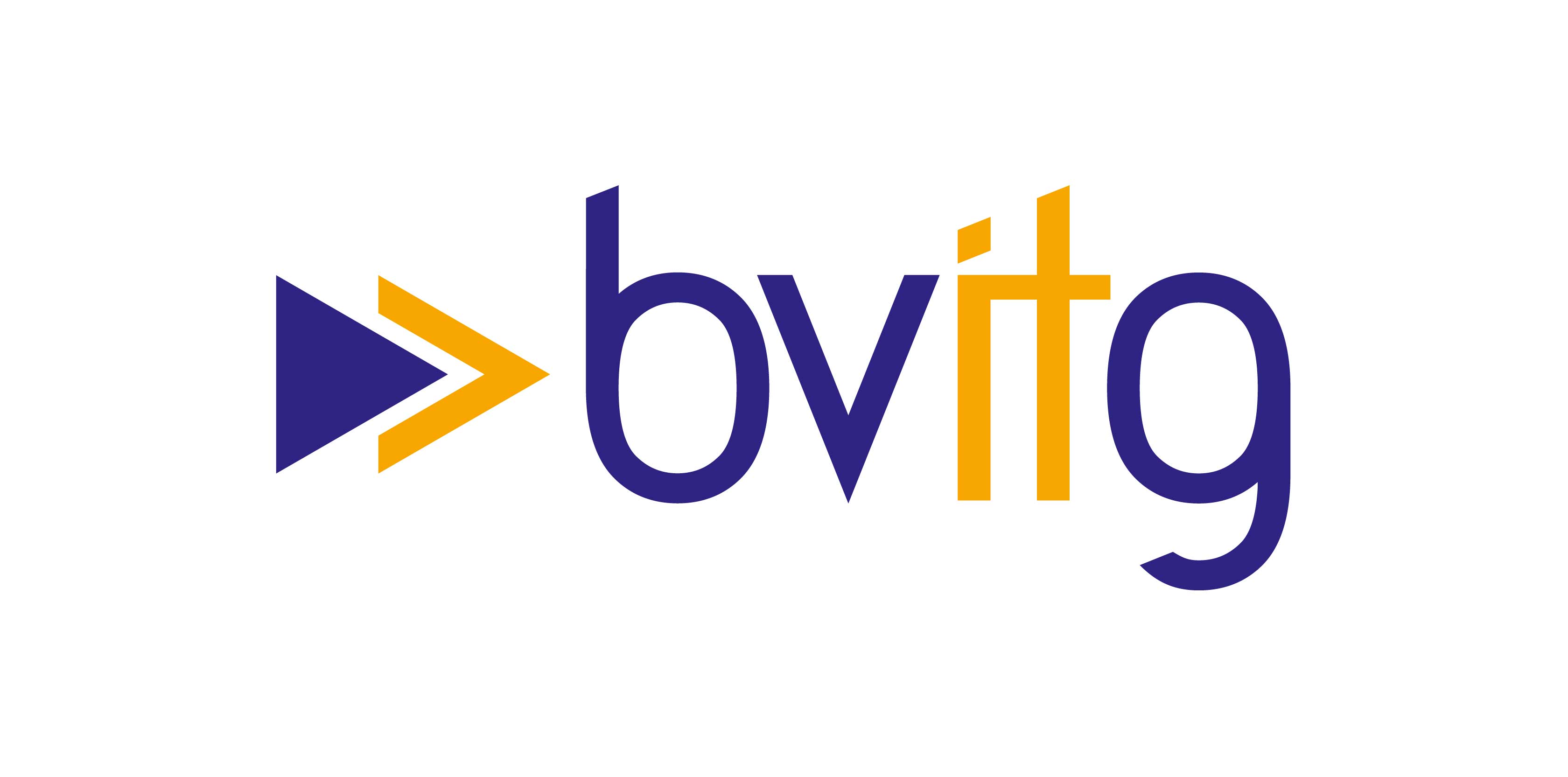 Logo bvitg